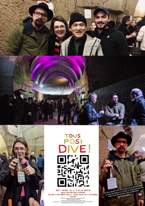 LA DIVE BOUTEILLE 2022, Saumur France